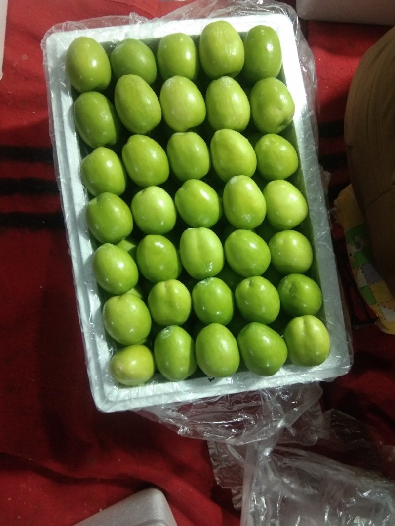 台湾大青枣。甜脆露天货，。。。。。。。。。