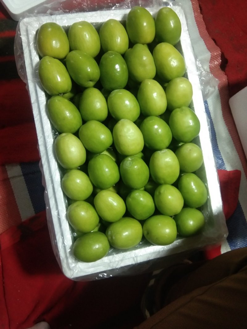 台湾大青枣。甜脆露天货，。。。。。。。。。
