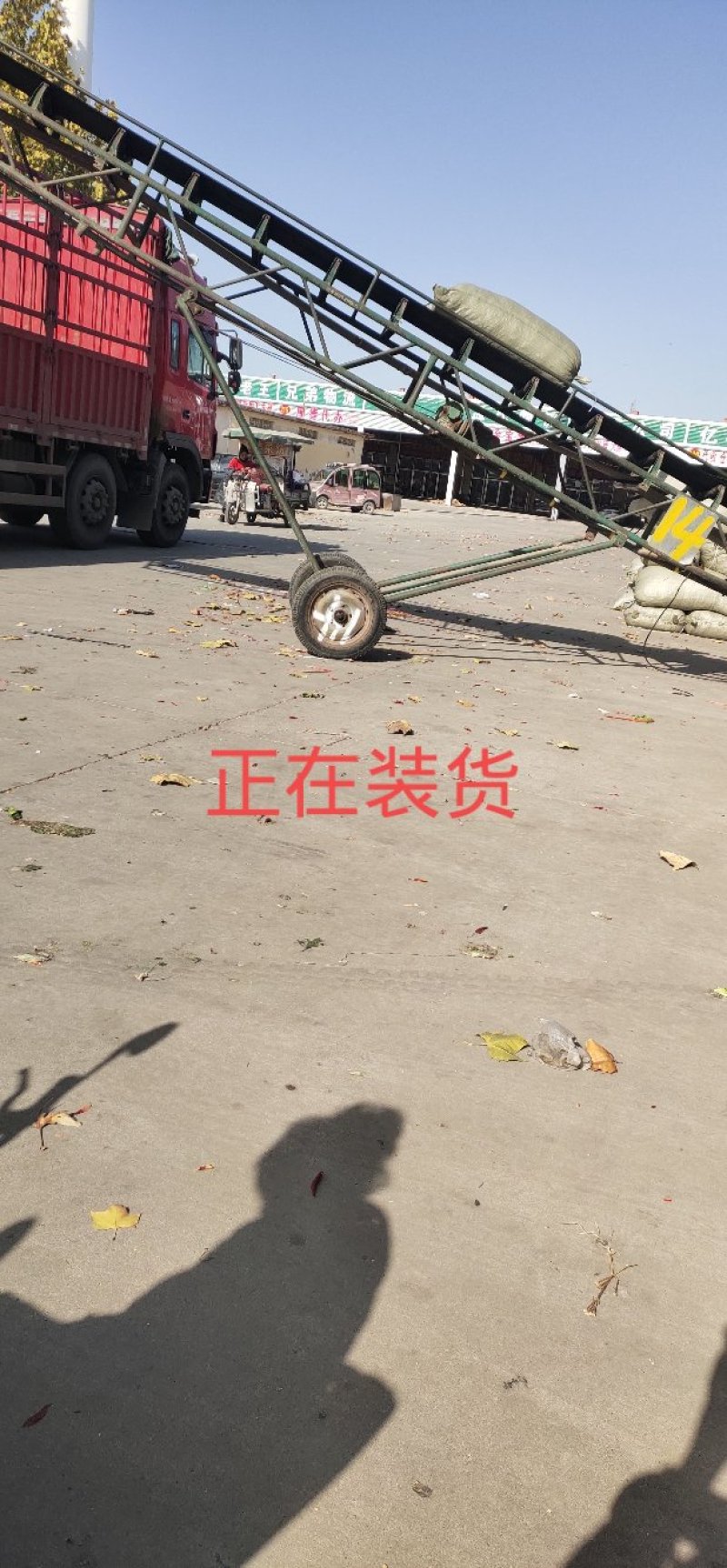 山东济宁三樱干辣椒上市，欢迎采购，批发市场专供