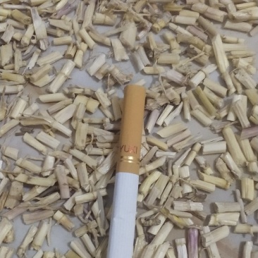 白茅根
