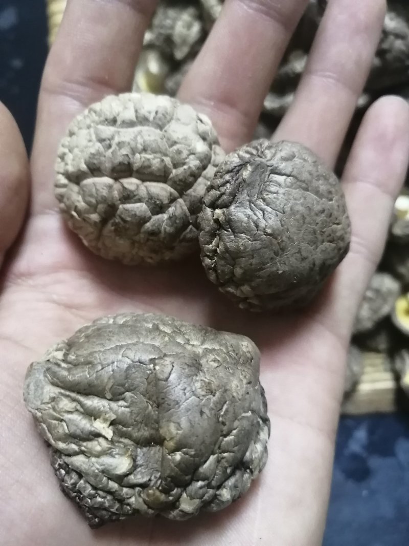 河南省南阳市西峡老界岭铭源香菇产地直销，物美价廉