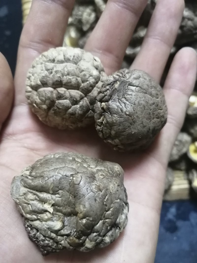 河南省南阳市西峡老界岭铭源香菇产地直销，物美价廉
