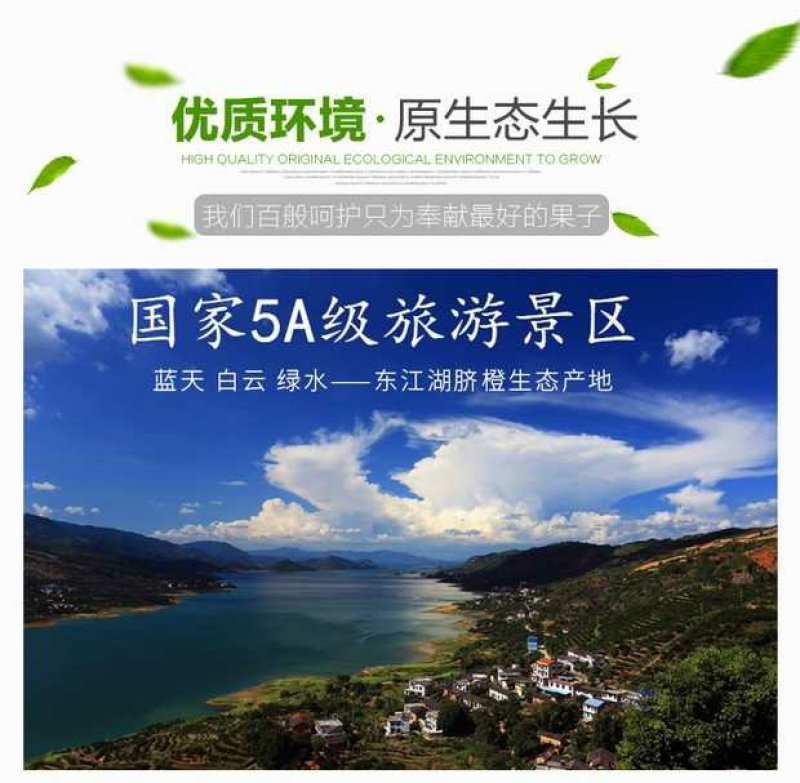 东江湖脐橙(湖南郴州资兴东江湖清江)