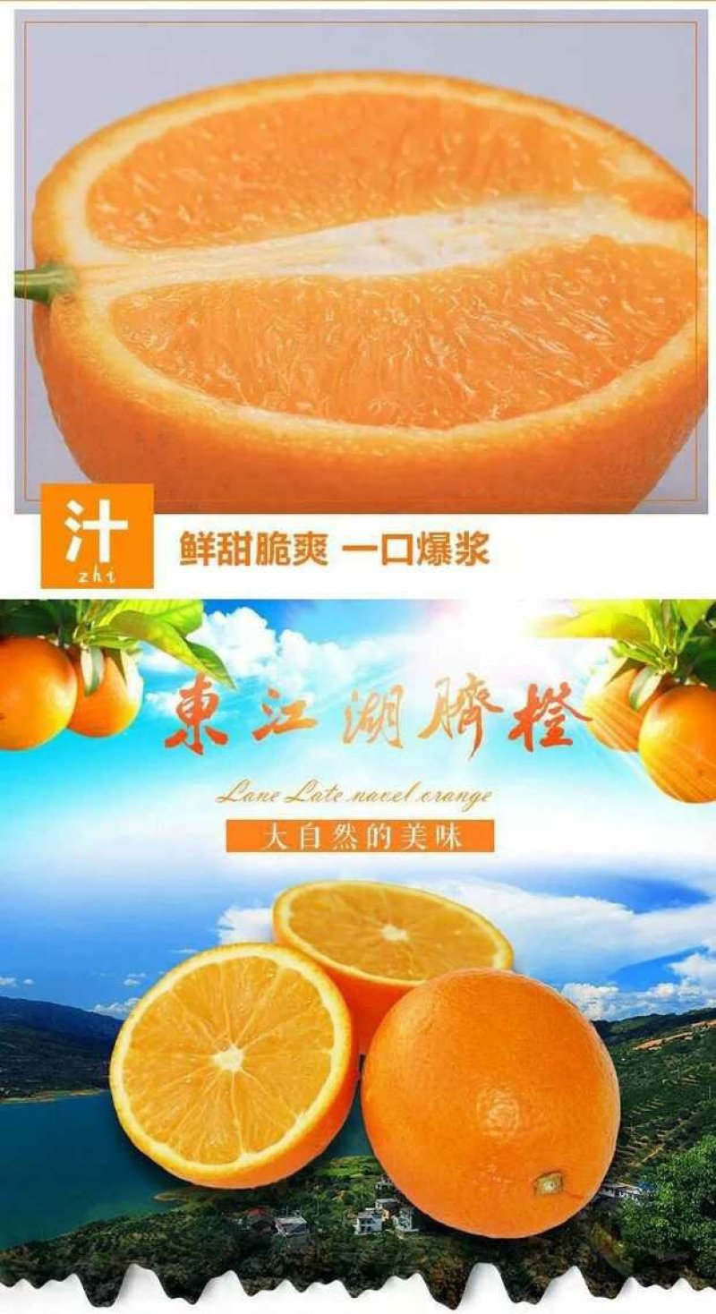 东江湖脐橙(湖南郴州资兴东江湖清江)