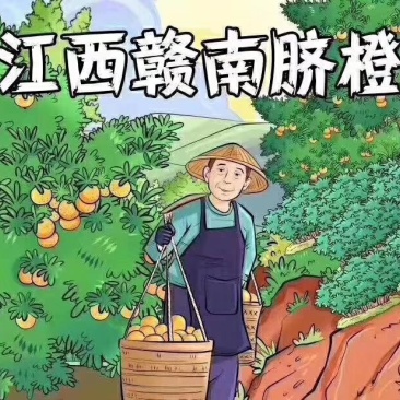 正宗赣南脐橙（试吃装）