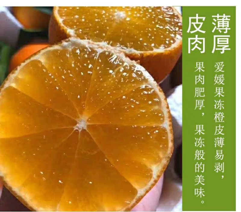 爱媛28号果冻橙红美人(湖南郴州东江湖清江)一件代发