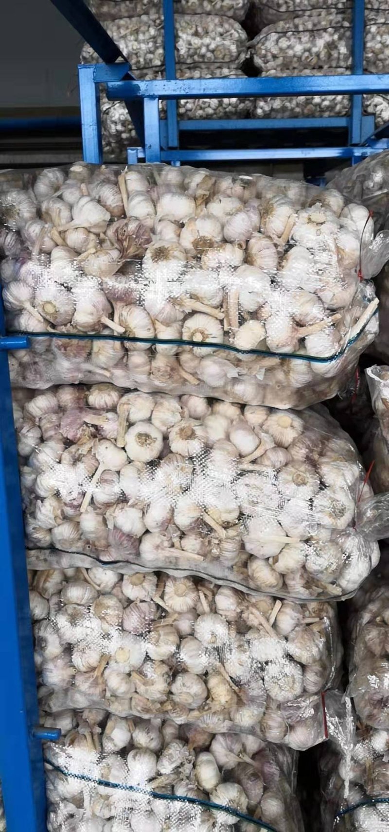 金乡大蒜个头大，质优价廉，市场专供，协助装车全国发货
