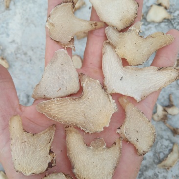 三叉白芨湖北野生干货不包邮现货