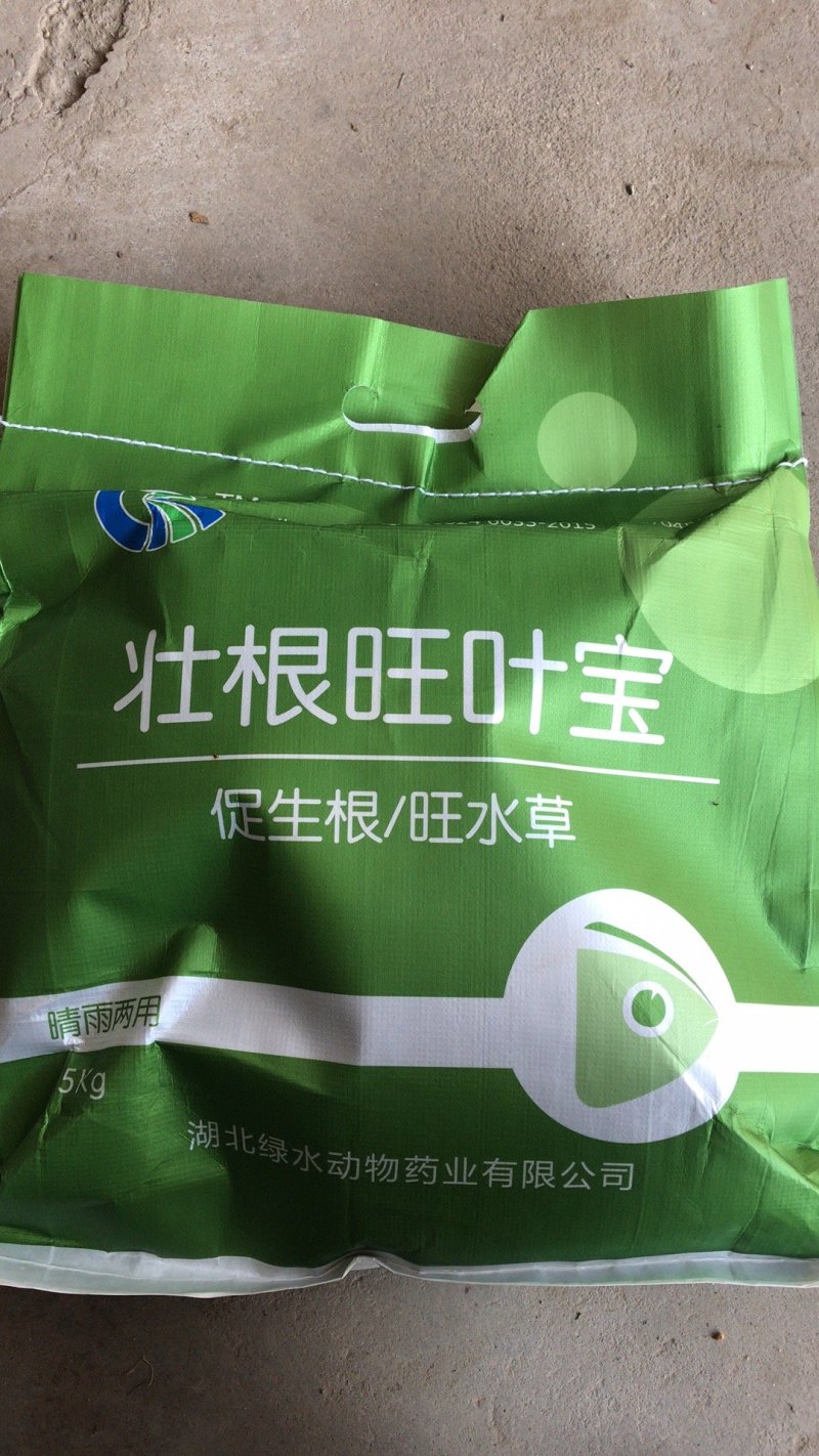 【包邮】旺叶壮根宝水草促生根吃不败灯笼泡苦草伊乐藻虾蟹鱼