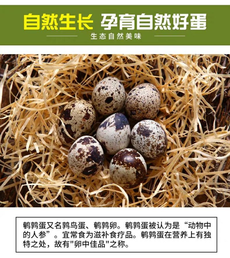生鹌鹑蛋新鲜一件代发现捡现发24小时承诺发货