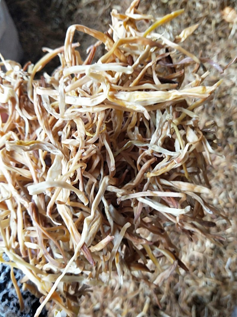 祁东黄花菜颜色好干度好促销价本地特产欢迎咨询