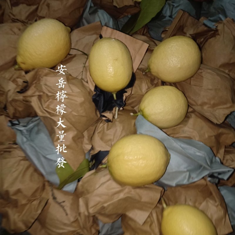 安岳尤力克柠檬皮薄汁多颗粒饱满批发零售代发量大从优