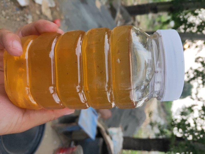 蜂巢蜜