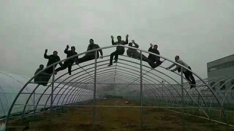 温室大棚各种大棚耐用经济实用百姓的选择