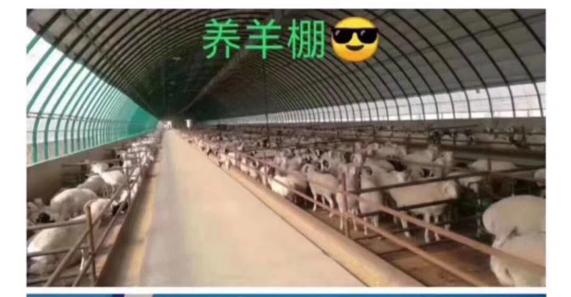 温室大棚各种大棚耐用经济实用百姓的选择
