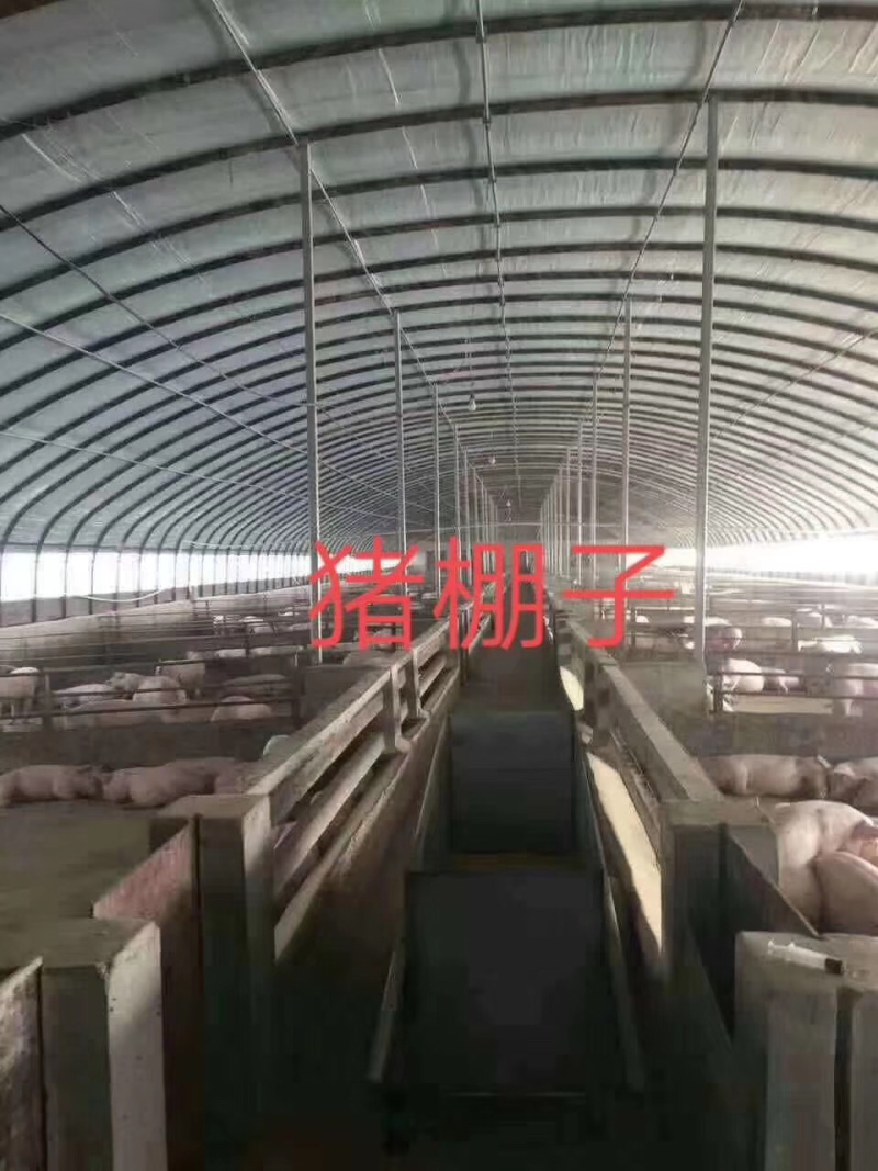 温室大棚各种大棚耐用经济实用百姓的选择
