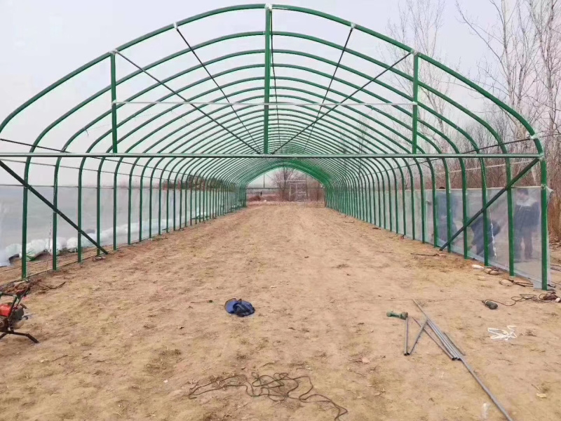 温室大棚各种大棚耐用经济实用百姓的选择