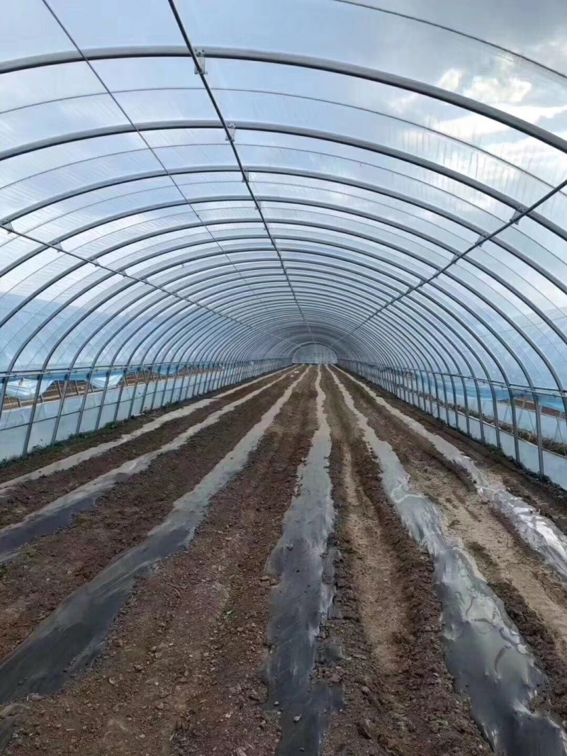 温室大棚各种大棚耐用经济实用百姓的选择