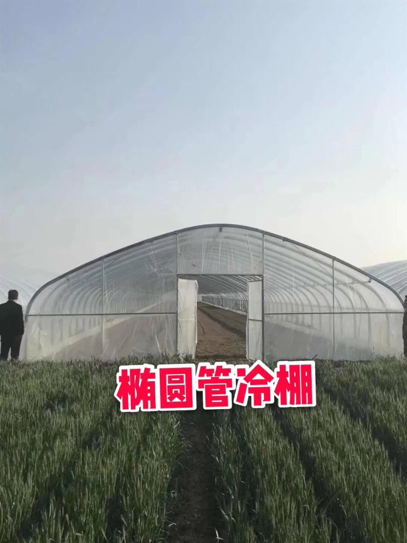 温室大棚各种大棚耐用经济实用百姓的选择