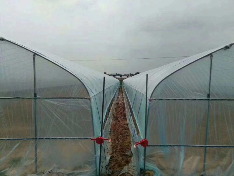 温室大棚各种大棚耐用经济实用百姓的选择