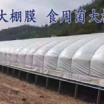 养殖大棚菌类大棚水产养殖大棚来图定制厂家直销