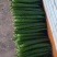 蔬菜