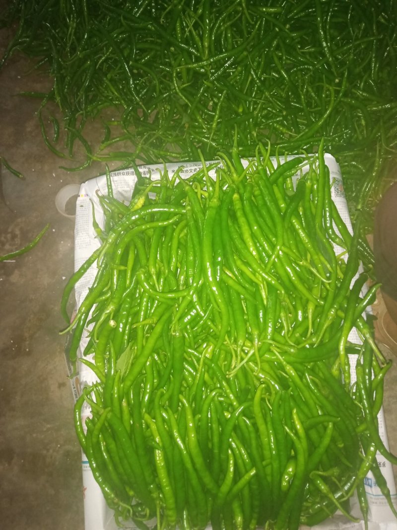蔬菜