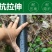 农用微喷带滴灌带喷水带