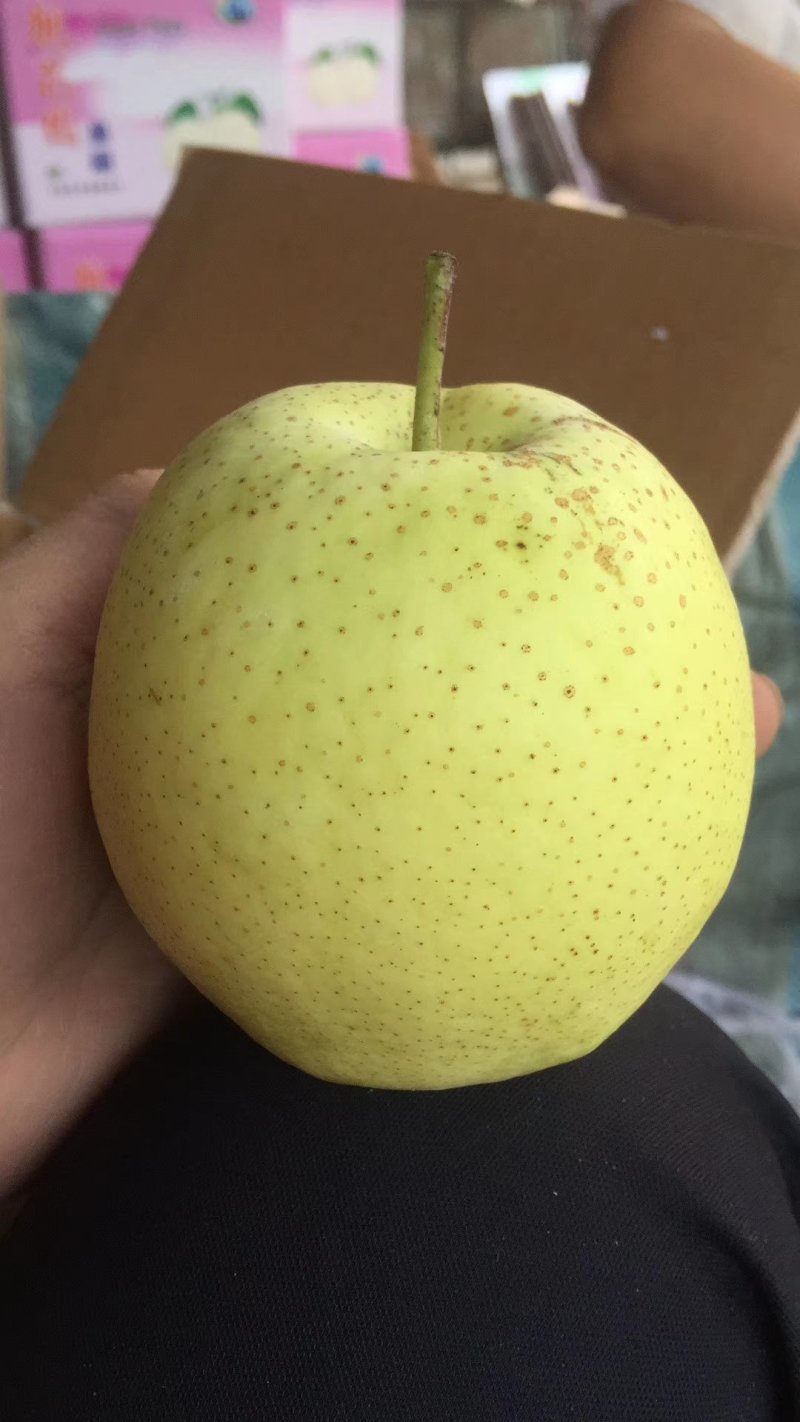 赵县雪花梨质量好，价格合理！