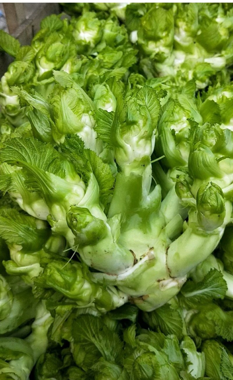 儿菜