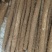 白玉山药大量上市