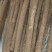 白玉山药大量上市