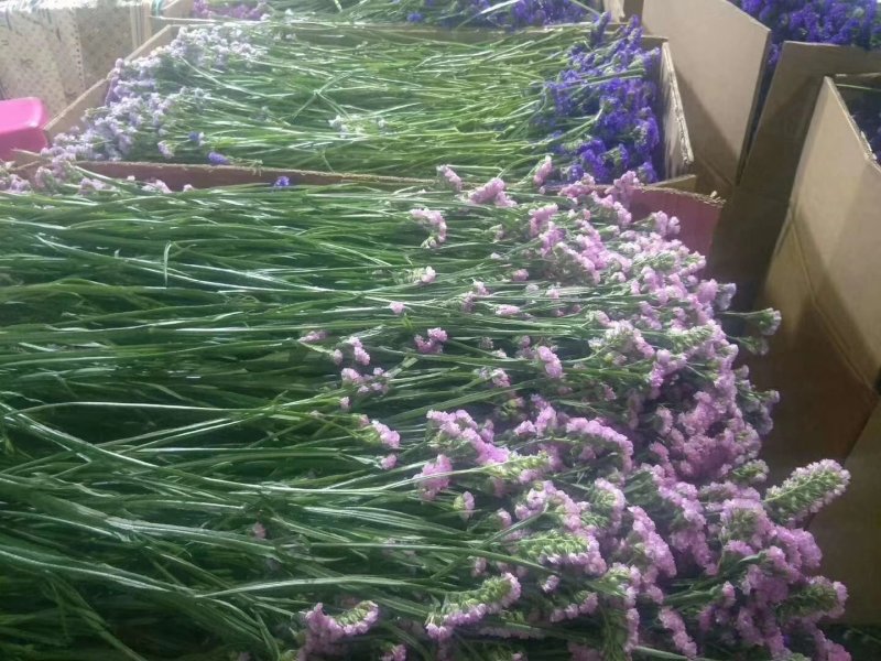 干花