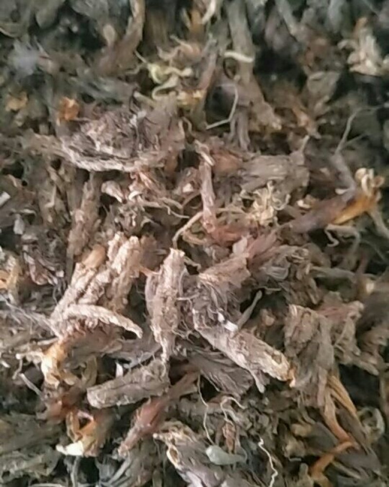 甘松统货，甘松根，甘松水洗，甘松叶