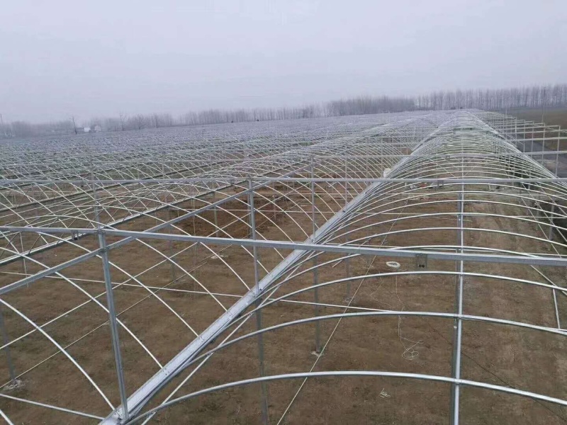 专业生产各种薄膜连栋温室，玻璃连栋温室画图设计