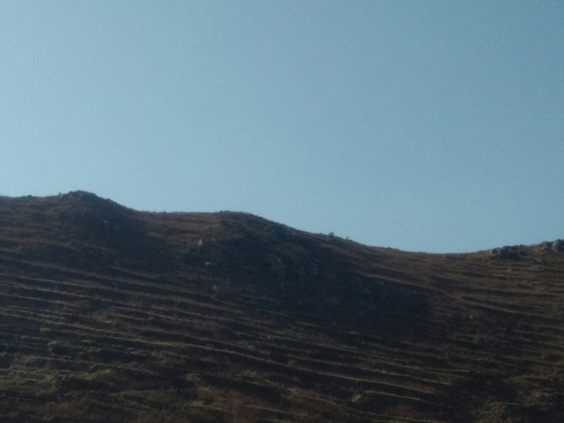 荒山