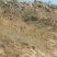 荒山