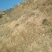 荒山