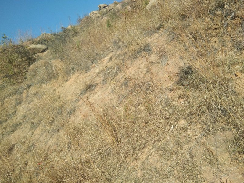 荒山