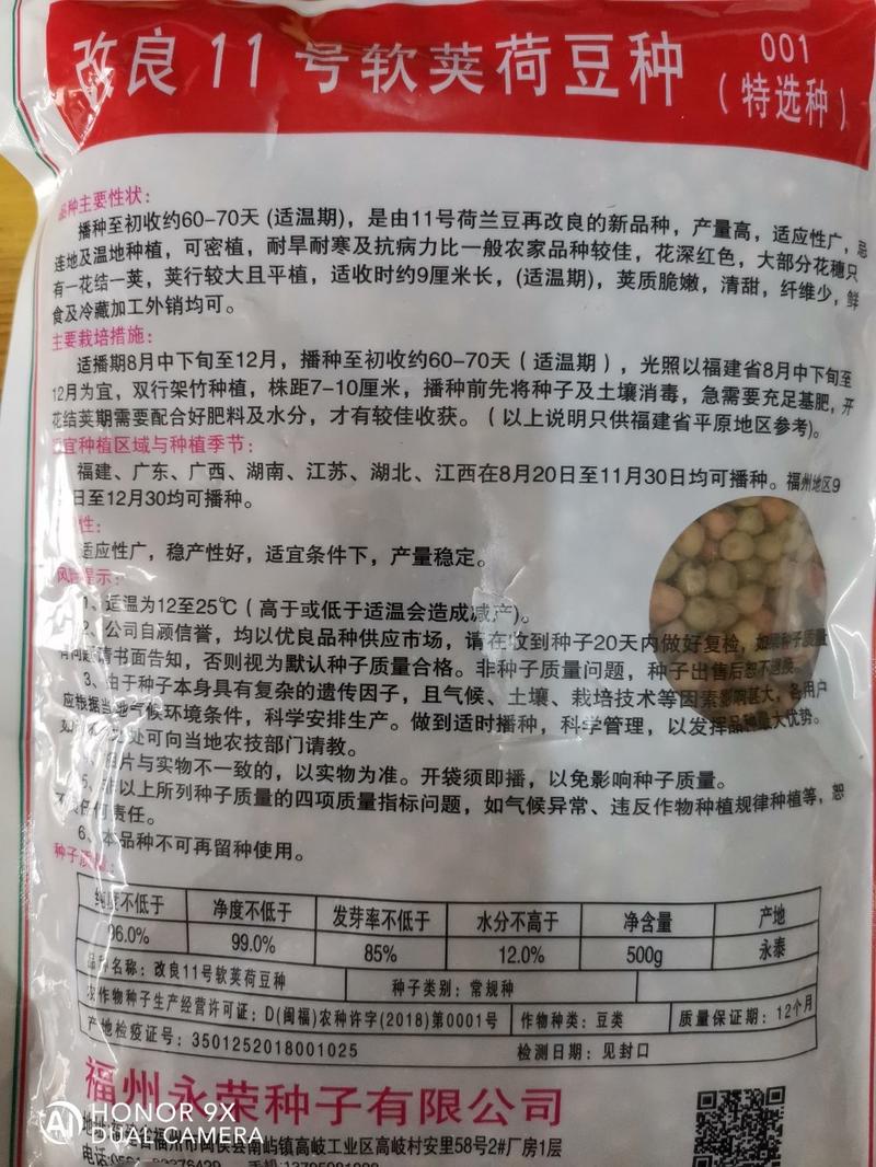 高产604荷兰豆种子营养美味大荚型大田用种