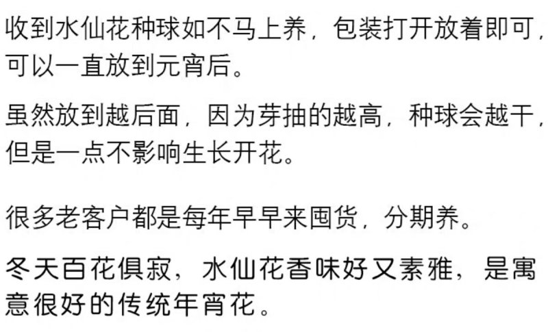 漳州水仙花种球水养植物冬季水培新手福利带叶发货