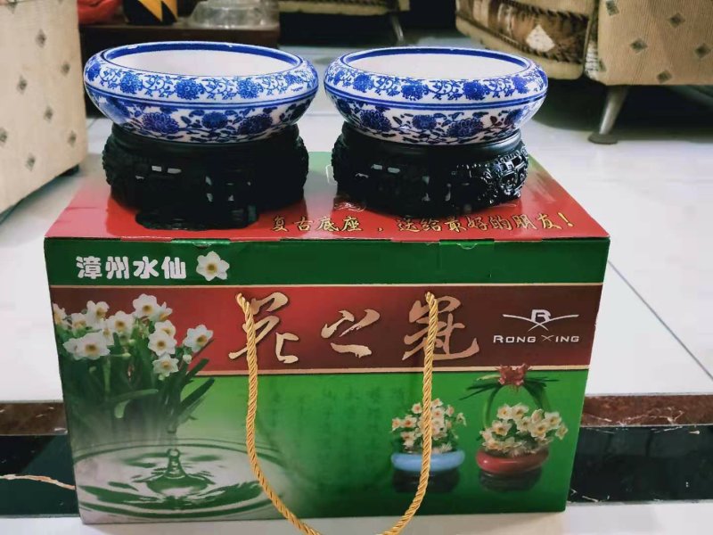 漳州水仙花种球水养植物冬季水培新手福利带叶发货