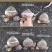 漳州水仙花种球水养植物冬季水培新手福利带叶发货