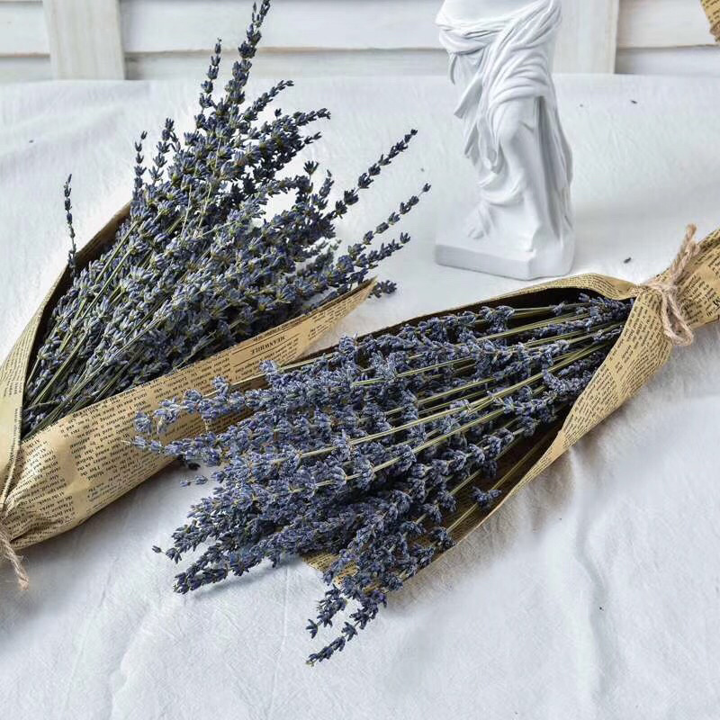 新疆伊犁薰衣草干花250克每束英国蓝干花
