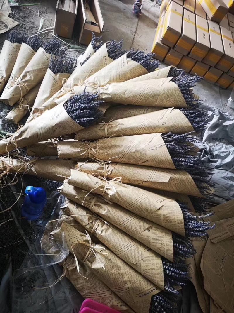新疆伊犁薰衣草干花250克每束英国蓝干花