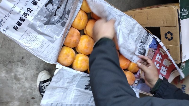 磨盘柿子，遵化党峪磨盘柿，正宗粘汤磨盘子。拥有百年美名！