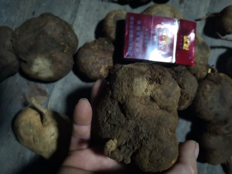 中药材