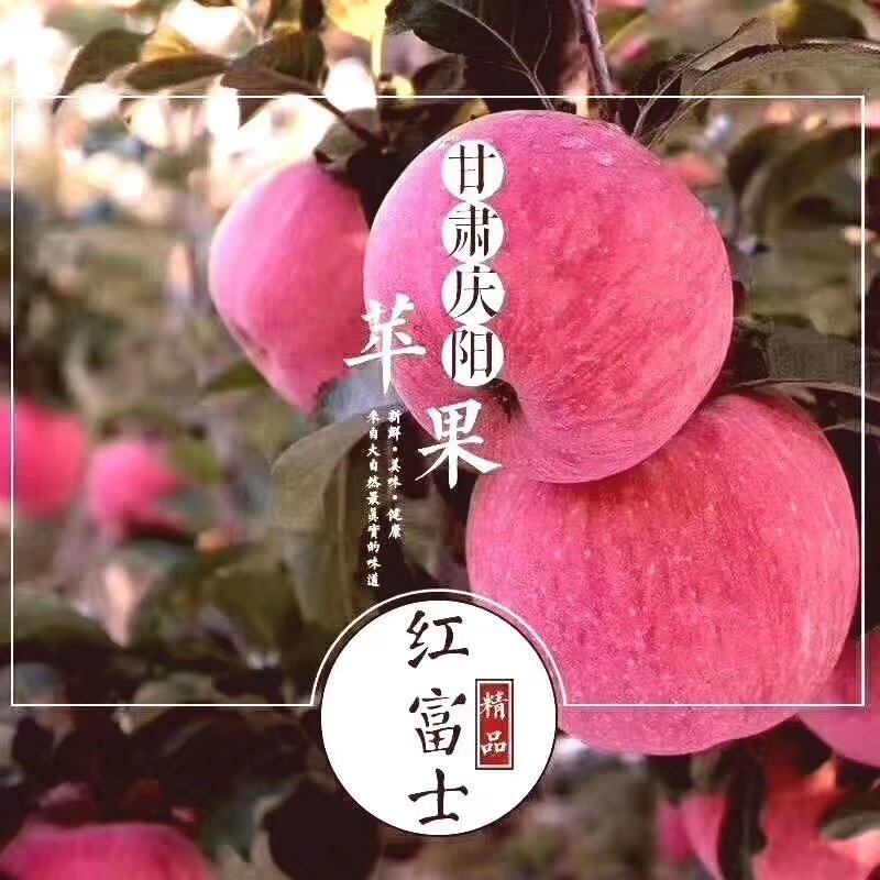 甘肃庆阳高原红富士苹果水果新鲜当季脆甜多汁10斤包邮