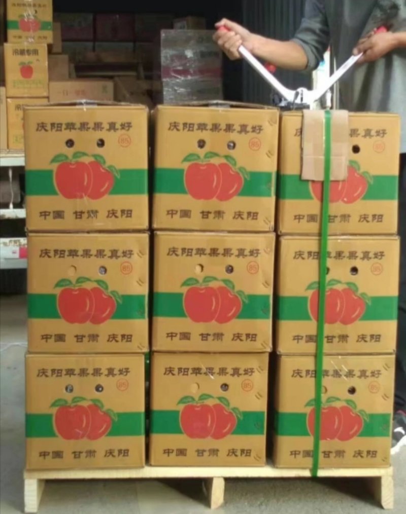 甘肃庆阳高原红富士苹果水果新鲜当季脆甜多汁10斤包邮