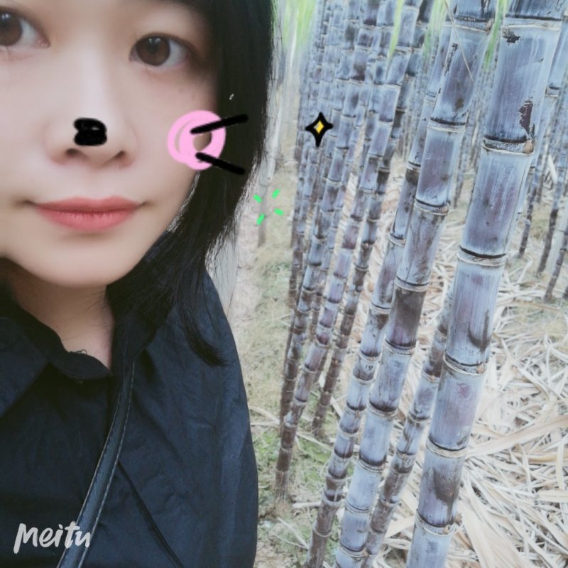 榨汁黄皮蔗。特靓黑蔗。。